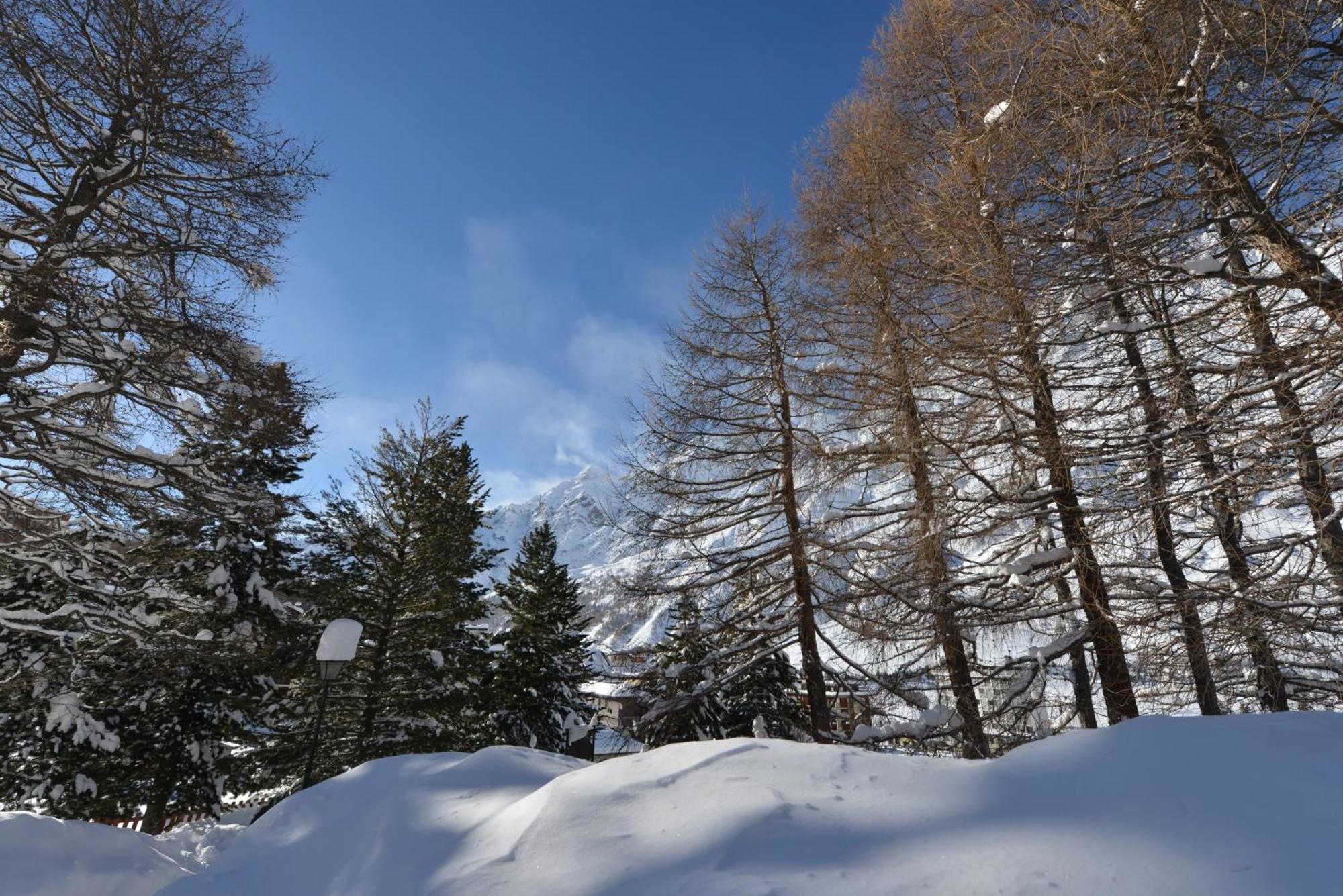 Mollino Rooms Breuil-Cervinia Eksteriør billede